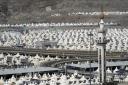 Millions from across the world are travelling to the annual Hajj to the city of Makkah in Saudi Arabia