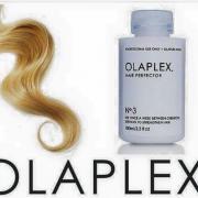 BEAUTY BLOG:  'Hair repair treatment that does exactly what it promises'
