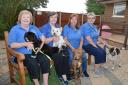 Shelagh Meredith and new chairman Ginny Roberts with Sue Carr, sanctuary manager, Nicky Chapman, deputy sanctuary manager and some of the dogs seeking forever homes