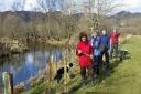 Volunteers with the South Cumbria Rivers Trus planting trees on a bank oft the River Brathay