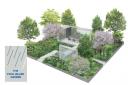 Plans for the Stihl Hillier Garden 2019 entry for RHS Chelsea Flower Show