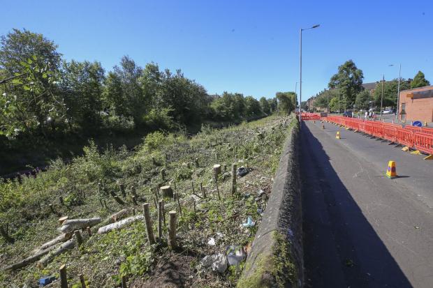 'Sad, dramatic' loss of trees along Southside railway line slammed by locals