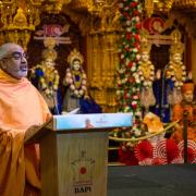Four-day festival marks Hindu Guru’s birth centenary