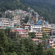 The houses are surrounded by pine forest in Himalaya mountains in Dharamsala. (c) Getty