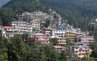 The houses are surrounded by pine forest in Himalaya mountains in Dharamsala. (c) Getty
